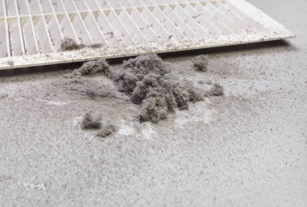 Best HVAC Maintenance and Cleaning  in Paw Paw Lake, MI
