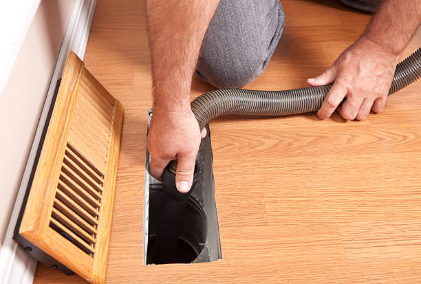 Air Duct Mold Removal in MI